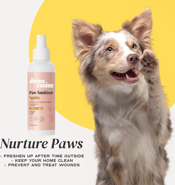 Show full view: Divine Canine Rosewater-Infused Paw Sanitizer Spritz, Anti-Bacterial & Anti-Fungal Alchohol-Free Dog Paw Cleaner, 5.1-fl oz spray slide 4 of 9