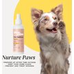 Show in main carousel: Divine Canine Rosewater-Infused Paw Sanitizer Spritz, Anti-Bacterial & Anti-Fungal Alchohol-Free Dog Paw Cleaner, 5.1-fl oz spray slide 4 of 9