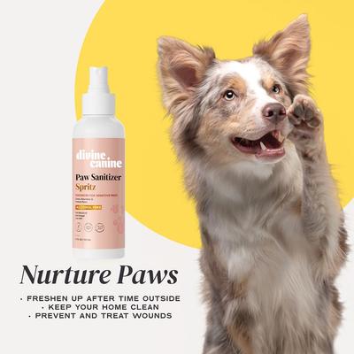 Show full view: Divine Canine Rosewater-Infused Paw Sanitizer Spritz, Anti-Bacterial & Anti-Fungal Alchohol-Free Dog Paw Cleaner, 5.1-fl oz spray slide 4 of 9