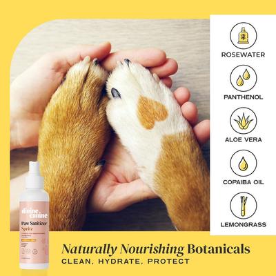 Show full view: Divine Canine Rosewater-Infused Paw Sanitizer Spritz, Anti-Bacterial & Anti-Fungal Alchohol-Free Dog Paw Cleaner, 5.1-fl oz spray slide 2 of 9