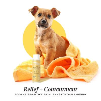 Show full view: Divine Canine Super Soft Heavenly Honey & Coconut Milk Dog Shampoo, 13.5-fl oz bottle slide 7 of 10