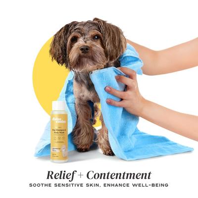 Show full view: Divine Canine Ultra Sensitive Heavenly Aloe & Chamomile Dog Shampoo, 13.5-fl oz bottle slide 7 of 11