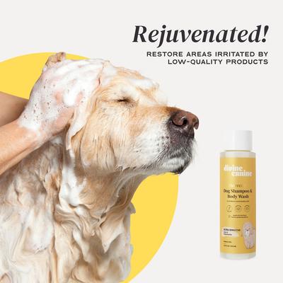 Show full view: Divine Canine Ultra Sensitive Heavenly Aloe & Chamomile Dog Shampoo, 13.5-fl oz bottle slide 5 of 11