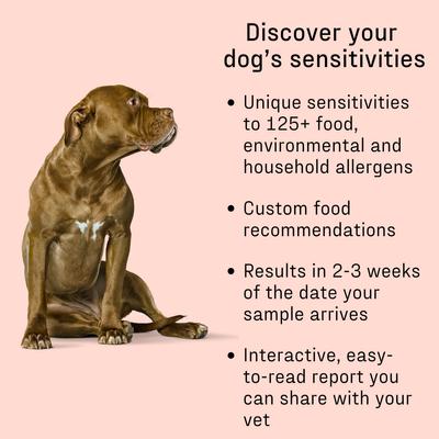 Show full view: DNA My Dog Allergy Test slide 5 of 11