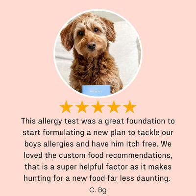 Show full view: DNA My Dog Allergy Test slide 8 of 11