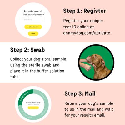 Show full view: DNA My Dog Allergy Test slide 4 of 11