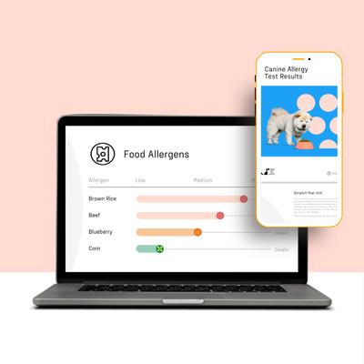 Show full view: DNA My Dog Allergy Test slide 6 of 11