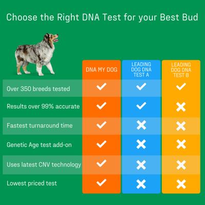 Show full view: DNA My Dog Essential Breed Identification Test slide 9 of 13