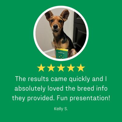 Show full view: DNA My Dog Essential Breed Identification Test slide 8 of 13