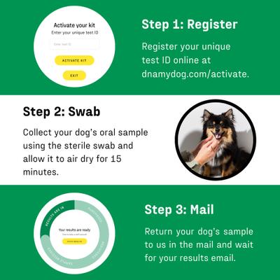 Show full view: DNA My Dog Essential Breed Identification Test slide 4 of 13