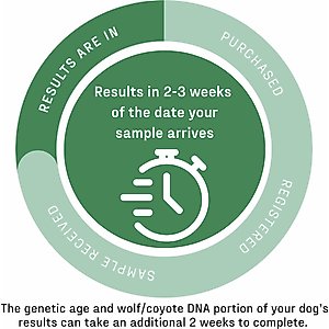 DNA My Dog Premium Breed Identification Test