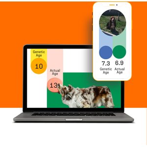 DNA My Dog Premium Breed Identification Test