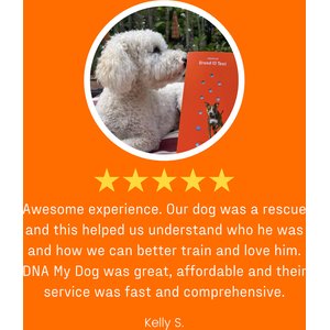 DNA My Dog Premium Breed Identification Test