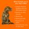 Show in main carousel: DNA My Dog Premium Breed Identification Test slide 5 of 11