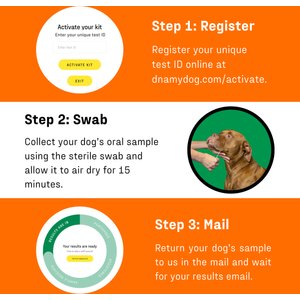 DNA My Dog Premium Breed Identification Test