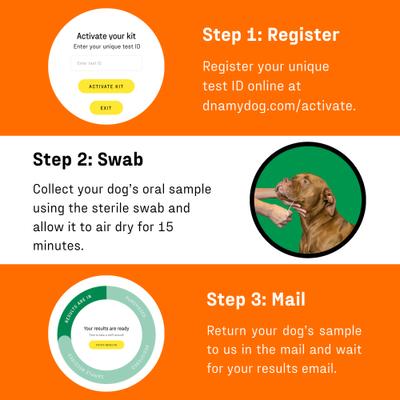 Show full view: DNA My Dog Premium Breed Identification Test slide 4 of 11