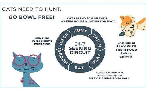 Show full view: Doc & Phoebe's Cat Co. The Hunting Snacker Interactive Cat Treat Toy, Blue slide 6 of 10