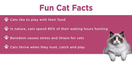 Show full view: Doc & Phoebe's Cat Co. The Hunting Snacker Interactive Cat Treat Toy, Blue slide 9 of 10