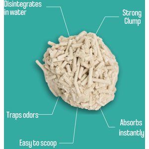 Dofu Cat Unscented Cereal Clumping Tofu Cat Litter, 5.5-lb bag