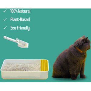 Dofu Cat Unscented Cereal Clumping Tofu Cat Litter, 5.5-lb bag