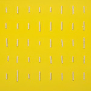 Dofu Cat Unscented Clumping Tofu Multi-Cat Litter, 13.2-lb bag