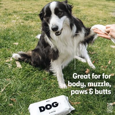 Show full view: DOG By Dr Lisa Gentle Dog Grooming Wipes, 80 count slide 5 of 8