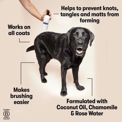 Show full view: DOG By Dr Lisa Leave In Dog Conditioner Spray, 10-fl oz bottle slide 4 of 7