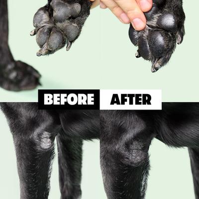 Show full view: DOG By Dr Lisa Soothing Balm Dog Skin Treatment, 2.12-fl oz bottle slide 5 of 6