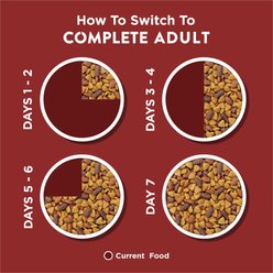 Dog Chow Complete Adult Beef Flavor Dry Dog Food, 32-lb bag slide 2 of 9