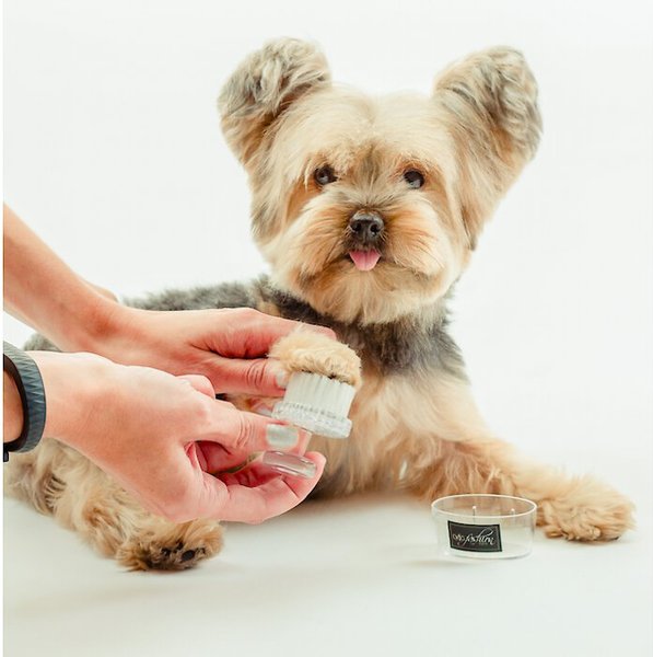 Show full view: Dog Fashion Spa Dog Paw & Face Brush slide 2 of 3
