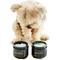 Show in main carousel: Dog Fashion Spa Semplice Leave-in Dog Lotion & Conditioner, 4-fl oz slide 2 of 3