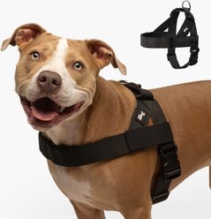 Dog Friendly Co. Adjustable Neck & Chafe Resistant Dog Harness, Black, Large