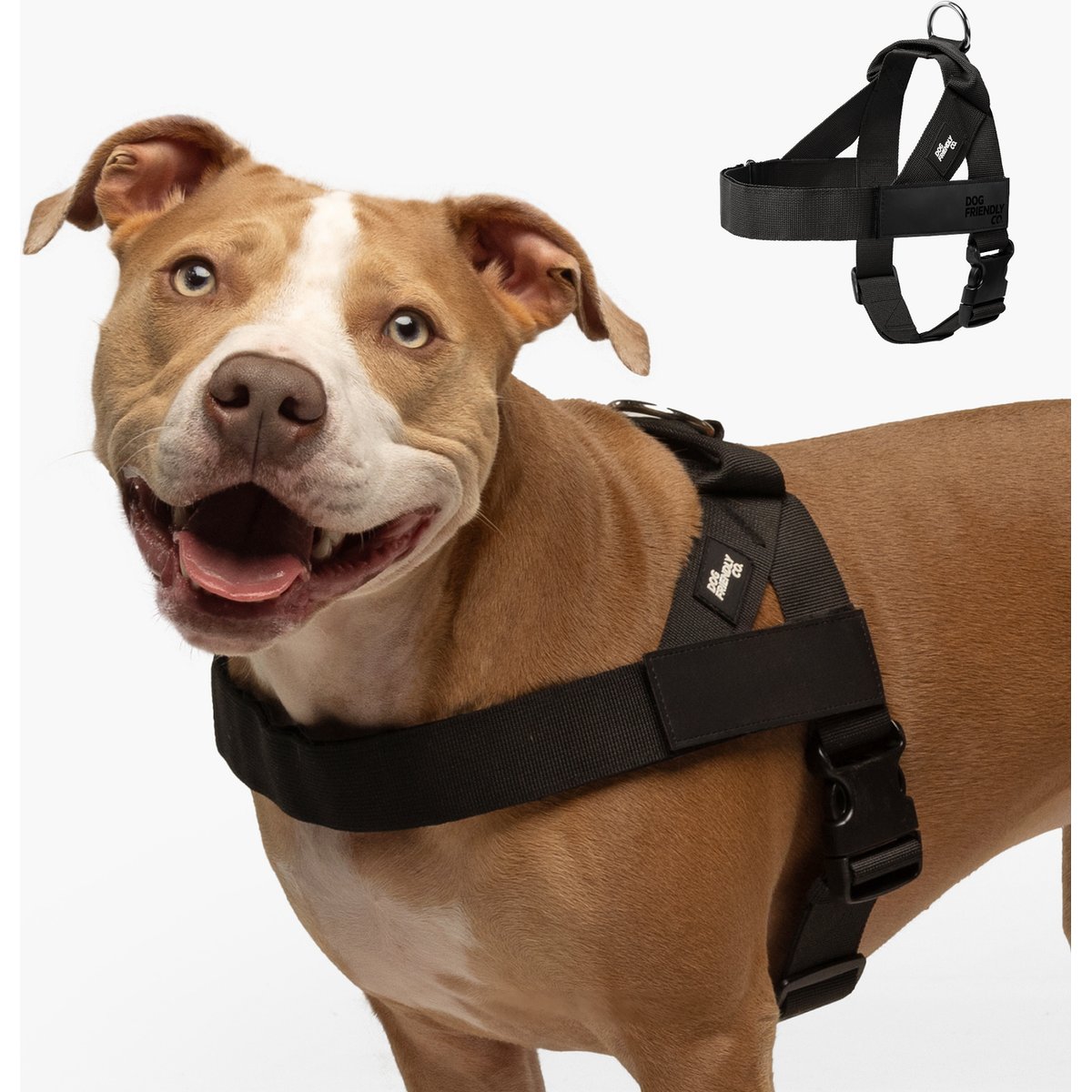 Dog Friendly Co. Adjustable Neck & Chafe Resistant Dog Harness, Black, Large