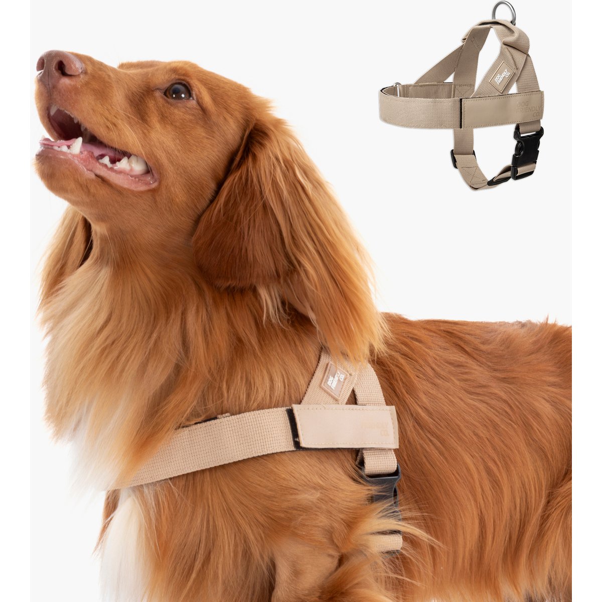 Dog Friendly Co. Adjustable Neck & Chafe Resistant Dog Harness, Brown, X-Small