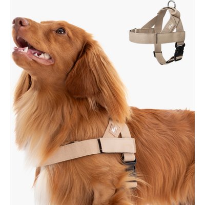 Dog Friendly Co. Dog Friendly Co. Adjustable Neck & Chafe Resistant Dog Harness, Brown, X-Small