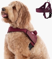 Dog Friendly Co. Adjustable Neck & Chafe Resistant Dog Harness, Burgundy, Medium slide 1 of 8