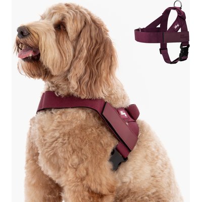 Dog Friendly Co. Dog Friendly Co. Adjustable Neck & Chafe Resistant Dog Harness, Burgundy, X-Small