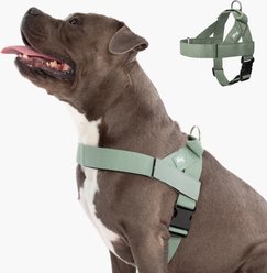 Dog Friendly Co. Adjustable Neck & Chafe Resistant Dog Harness, Khaki, Large