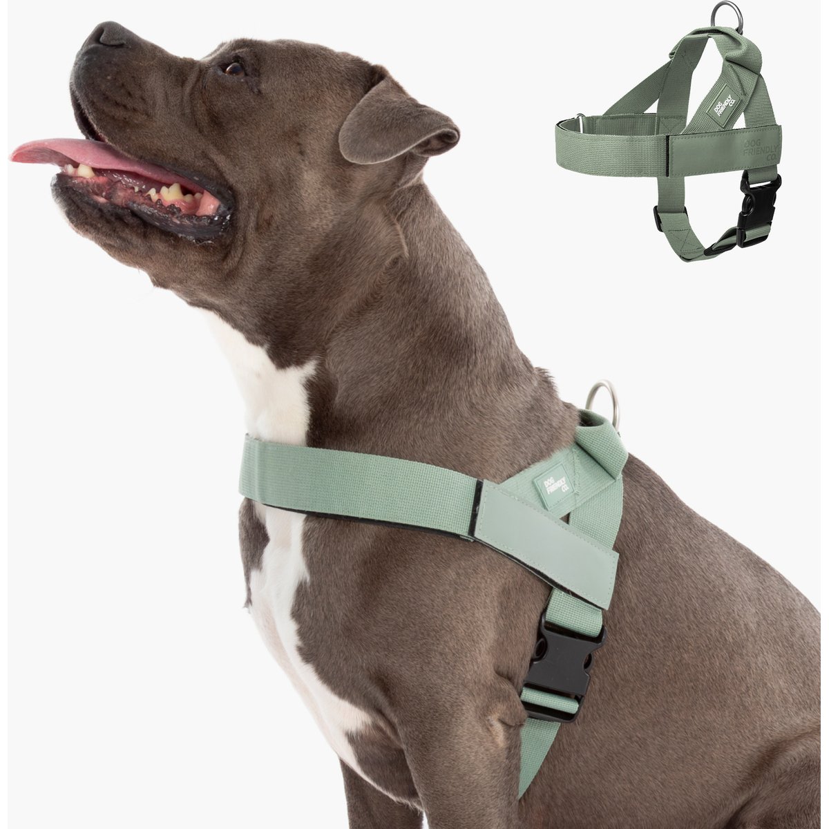 Dog Friendly Co. Adjustable Neck & Chafe Resistant Dog Harness, Khaki, Large