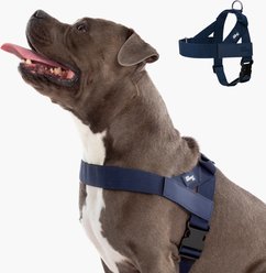 Dog Friendly Co. Adjustable Neck & Chafe Resistant Dog Harness, Navy, Large