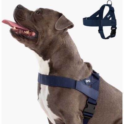 Dog Friendly Co. Dog Friendly Co. Adjustable Neck & Chafe Resistant Dog Harness, Navy, Large