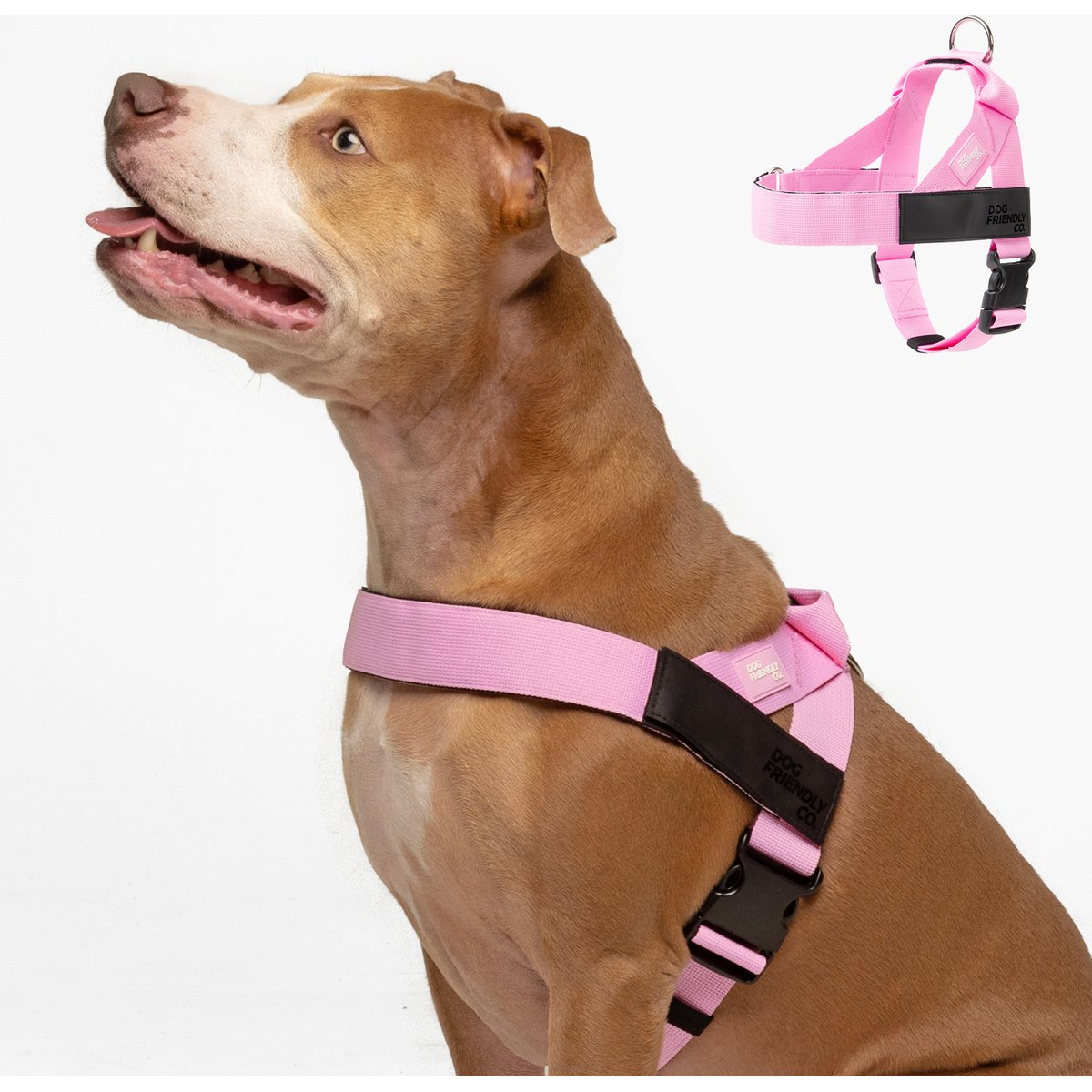 Dog Friendly Co. Adjustable Neck & Chafe Resistant Dog Harness, Pink, Large