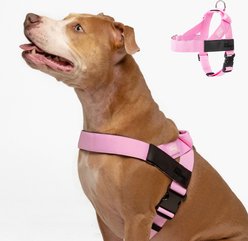 Dog Friendly Co. Adjustable Neck & Chafe Resistant Dog Harness, Pink, XX-Small