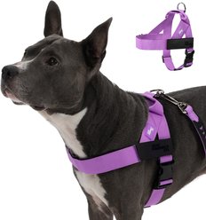 Dog Friendly Co. Adjustable Neck & Chafe Resistant Dog Harness, Purple, Large