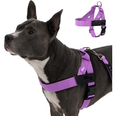 Dog Friendly Co. Dog Friendly Co. Adjustable Neck & Chafe Resistant Dog Harness, Purple, Medium