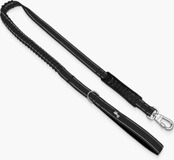 Dog Friendly Co. Bungee Strain Free & Shock Resistant for Control Dog Leash, Black, Regular slide 1 of 8