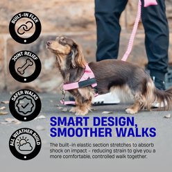 Dog Friendly Co. Bungee Strain Free & Shock Resistant for Control Dog Leash, Black, Regular slide 2 of 8