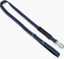 Dog Friendly Co. Bungee Strain Free & Shock Resistant for Control Dog Leash, Premium Navy Blue, Regular