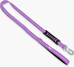 Dog Friendly Co. Bungee Strain Free & Shock Resistant for Control Dog Leash, Purple, Regular
