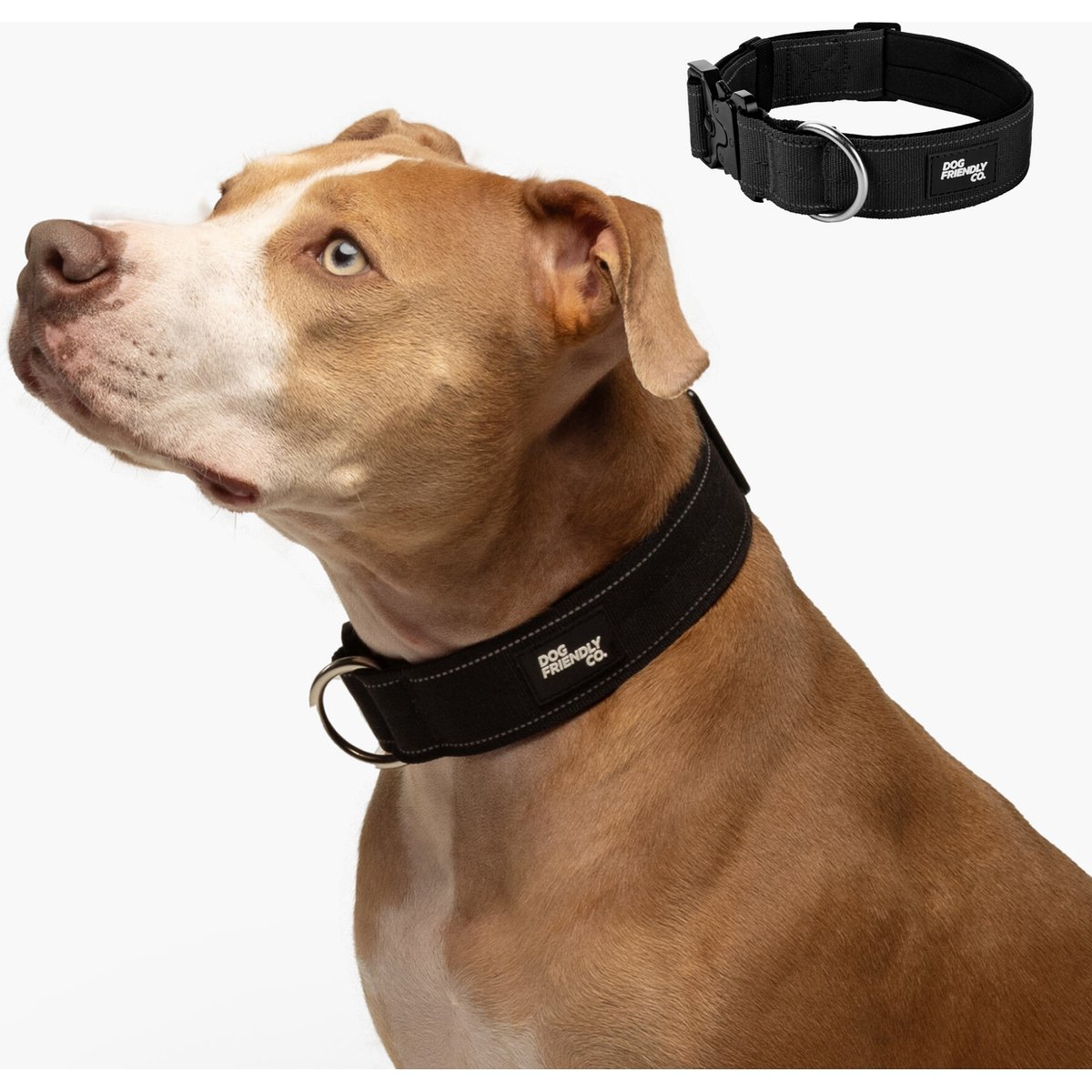 Dog Friendly Co. Comfortable & Secure with Quick Release Clip Buckle Reflective Tactical Dog Collar, Black, X-Small/XX-Small